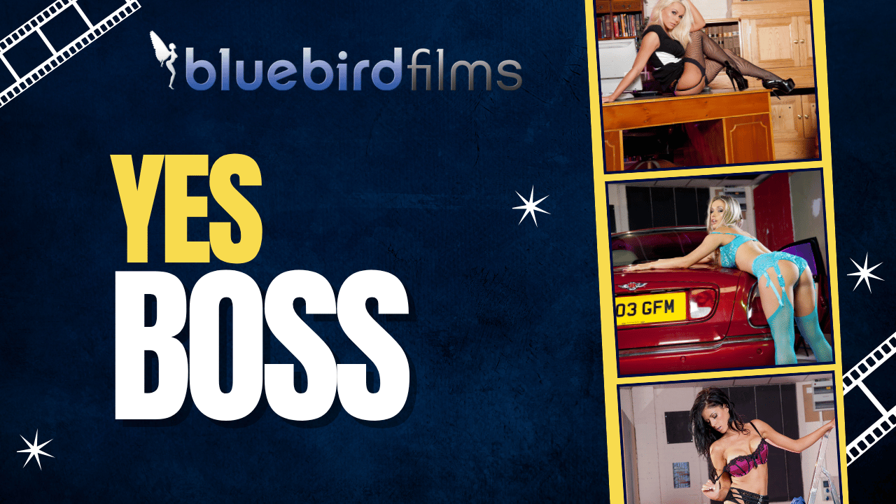 Bluebird Films presents Yes Boss