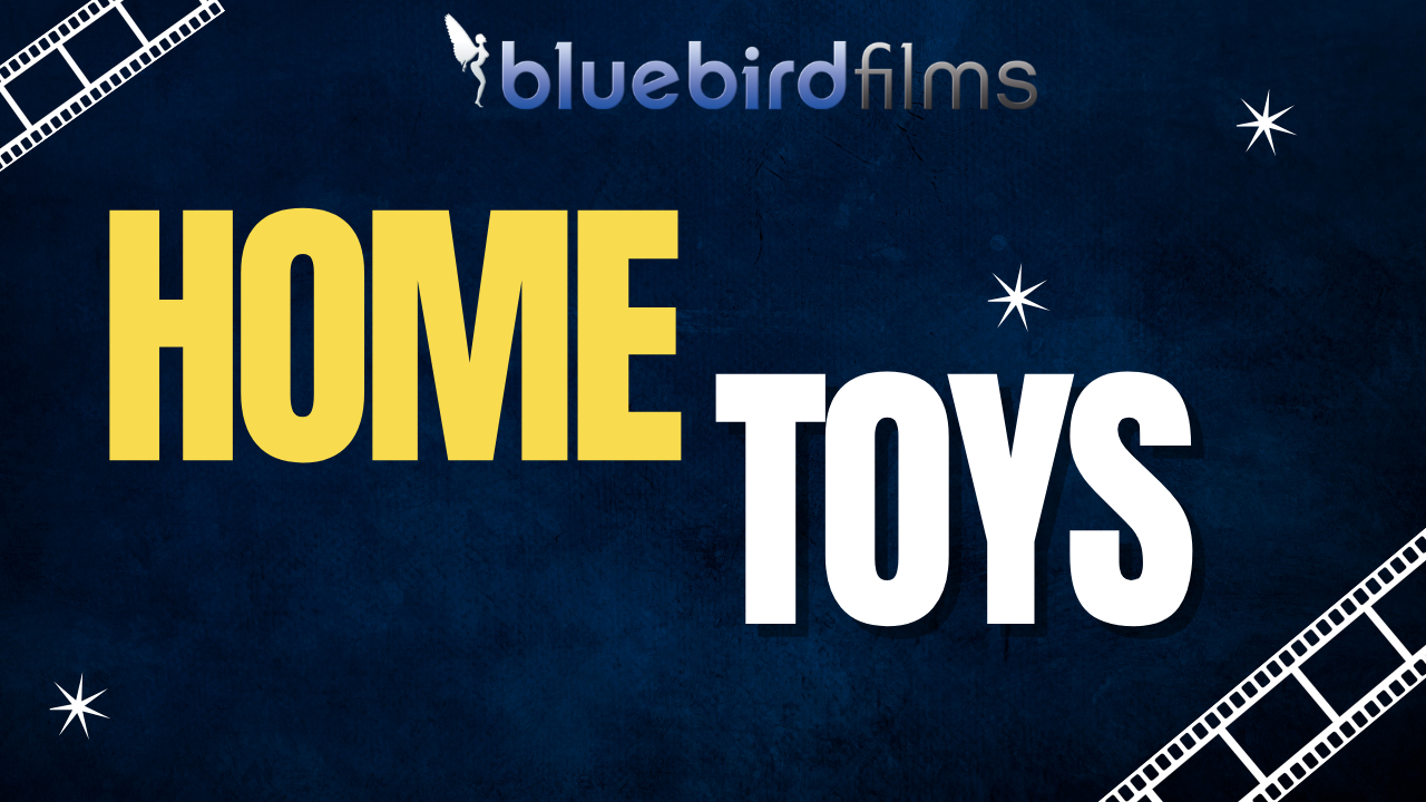 Home Toys